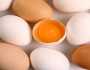 طبيبة توضح فوائد قشر البيض لتقوية العظام: احذروا منه في هذه الحالة فقط
