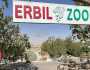 ضمت أكثر من 180 نوعاً.. حديقة حيوانات اربيل واجهة سياحية يرتادها المئات يومياً (صور)