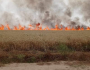 حريق كبير يلتهم حقل قمح في أطراف بعقوبة (فيديو)