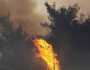 استمرار جهود فرق الإطفاء في اليونان وتركيا للسيطرة على حرائق الغابات