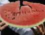 نصائح طبية تتعلق بتناول البطيخ