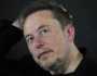 إيلون ماسك: لا أفهم ردود الفعل السلبية تجاه حزب 'البديل من أجل ألمانيا'