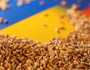 واشنطن: القمح الأوكراني المستخدم لإعداد الخبز بالعالم أتلف بسبب العدوان الروسي