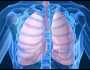 نصائح بسيطة لحماية الرئتين من الالتهاب