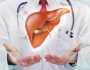 العلماء يحددون العلاج الجديد المحتمل لأمراض الكبد