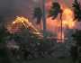 حرائق الغابات المهولة في هاواي الأمريكية تودي بحياة 93 شخصا