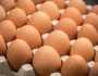 أخطاء شائعة في التعامل مع البيض وتخزينه