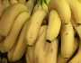 تونس تستورد ألفي طن من الموز