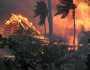 ارتفاع حصيلة ضحايا حرائق الغابات في هاواي إلى 67