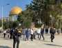 عشرات المستوطنين يقتحمون باحات الأقصى