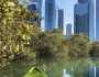 #هذه_أبوظبي.. مانجروف جزيرة الريم بعدسة عيسى المردود