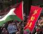 شاهد: مظاهرات في تايوان دعمًا لأهالي غزة