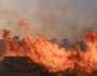 اليونان: قصور في استخدام أموال الاتحاد الأوروبي للوقاية من حرائق الغابات